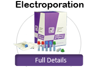 Cell Projects Electroporation